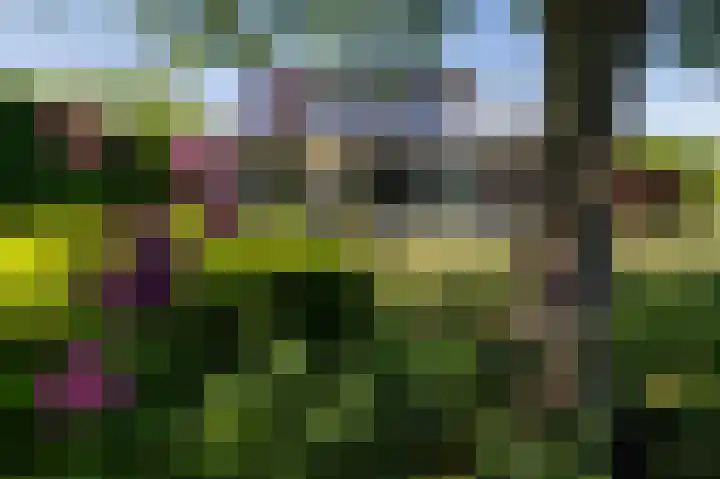 Vechtlaan 12 Kropswolde thumbnail 42