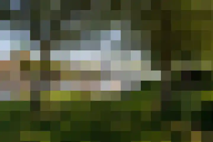 Vechtlaan 12 Kropswolde thumbnail 43