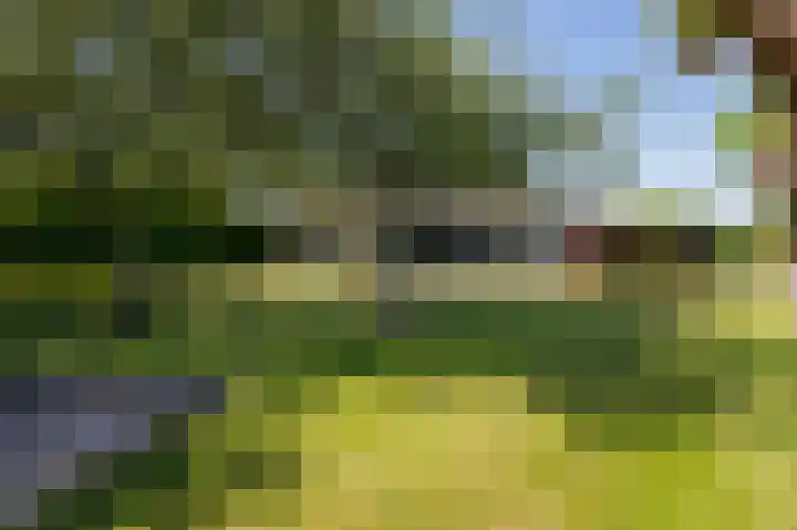 Vechtlaan 12 Kropswolde thumbnail 47