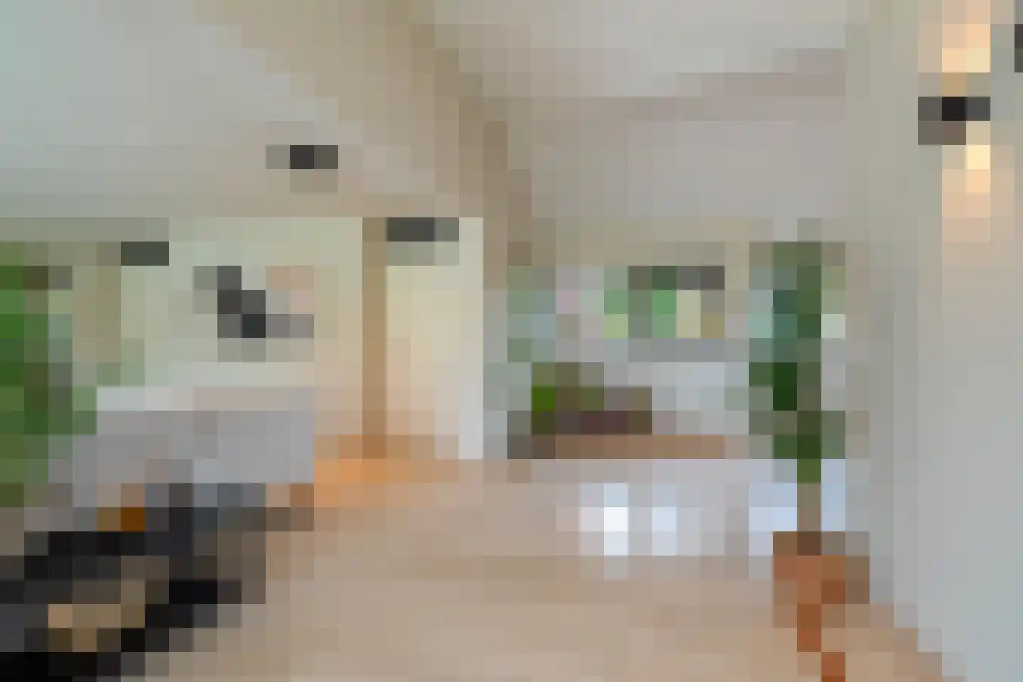 Vechtlaan 12 Kropswolde thumbnail 53