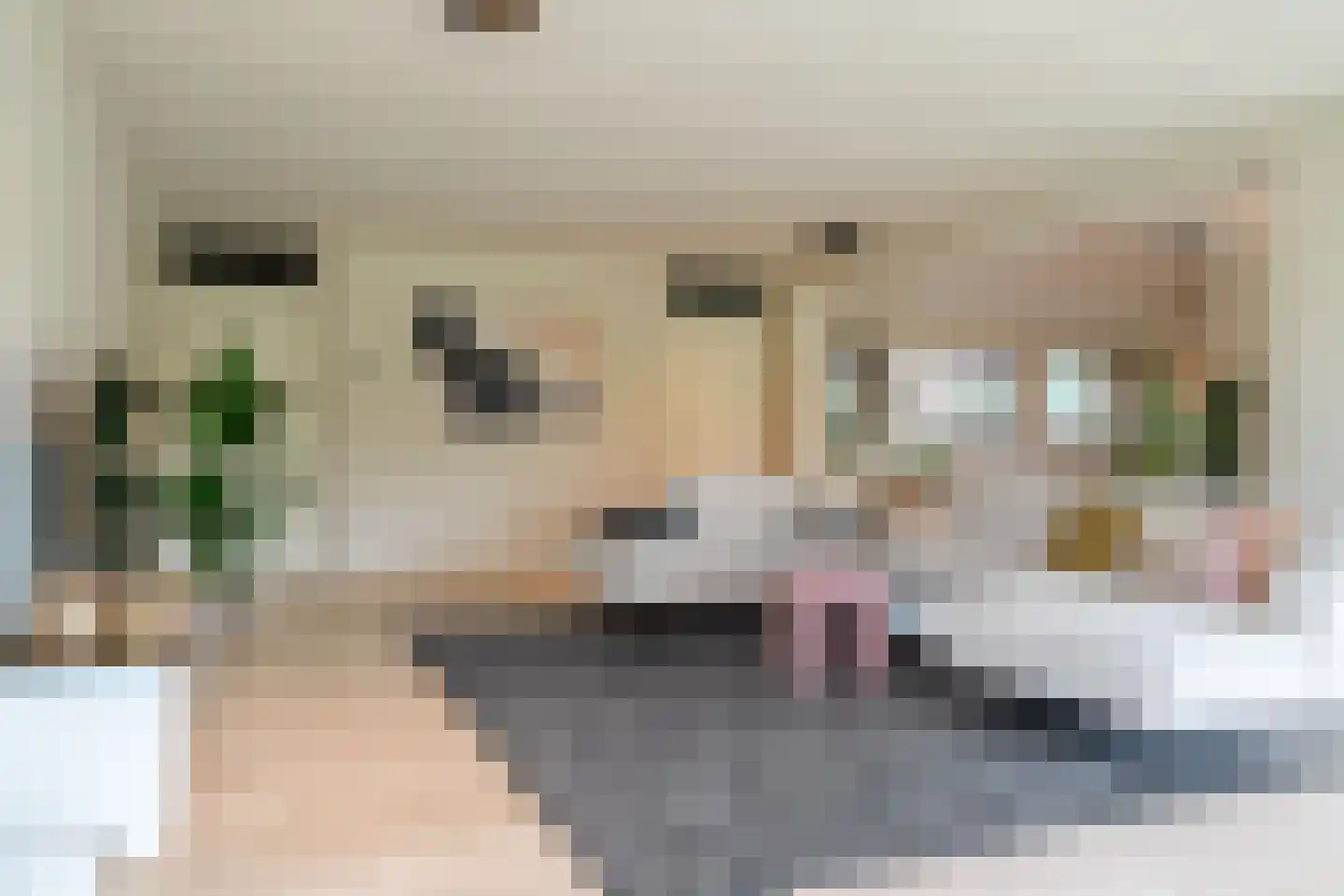 Vechtlaan 12 Kropswolde thumbnail 6
