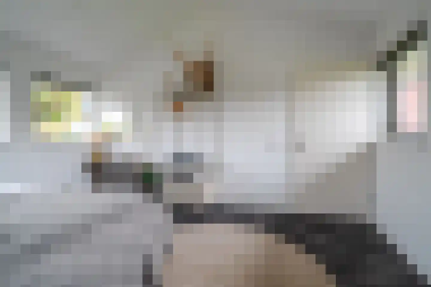 Vechtlaan 12 Kropswolde thumbnail 61