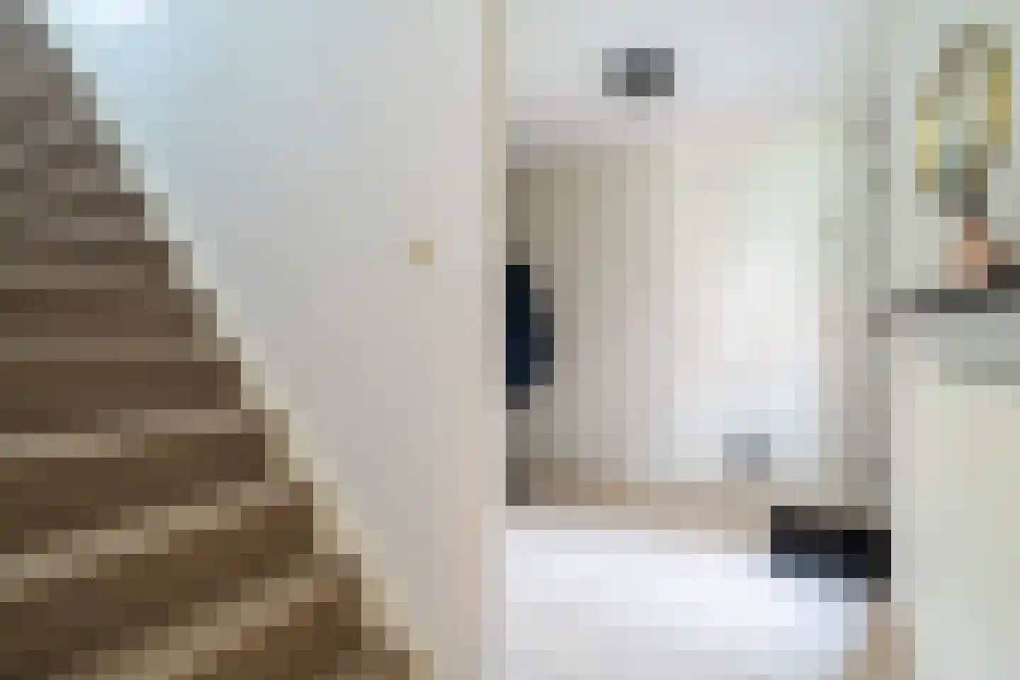 Vechtlaan 12 Kropswolde thumbnail 62