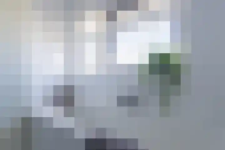 Vechtlaan 12 Kropswolde thumbnail 69