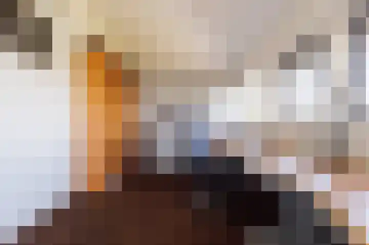 Vechtlaan 12 Kropswolde thumbnail 73