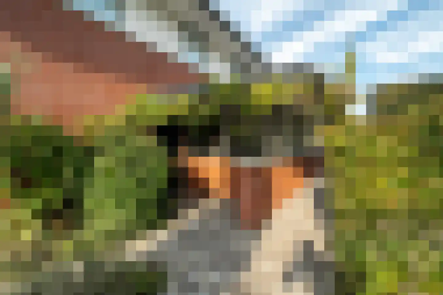 Vechtlaan 12 Kropswolde thumbnail 79