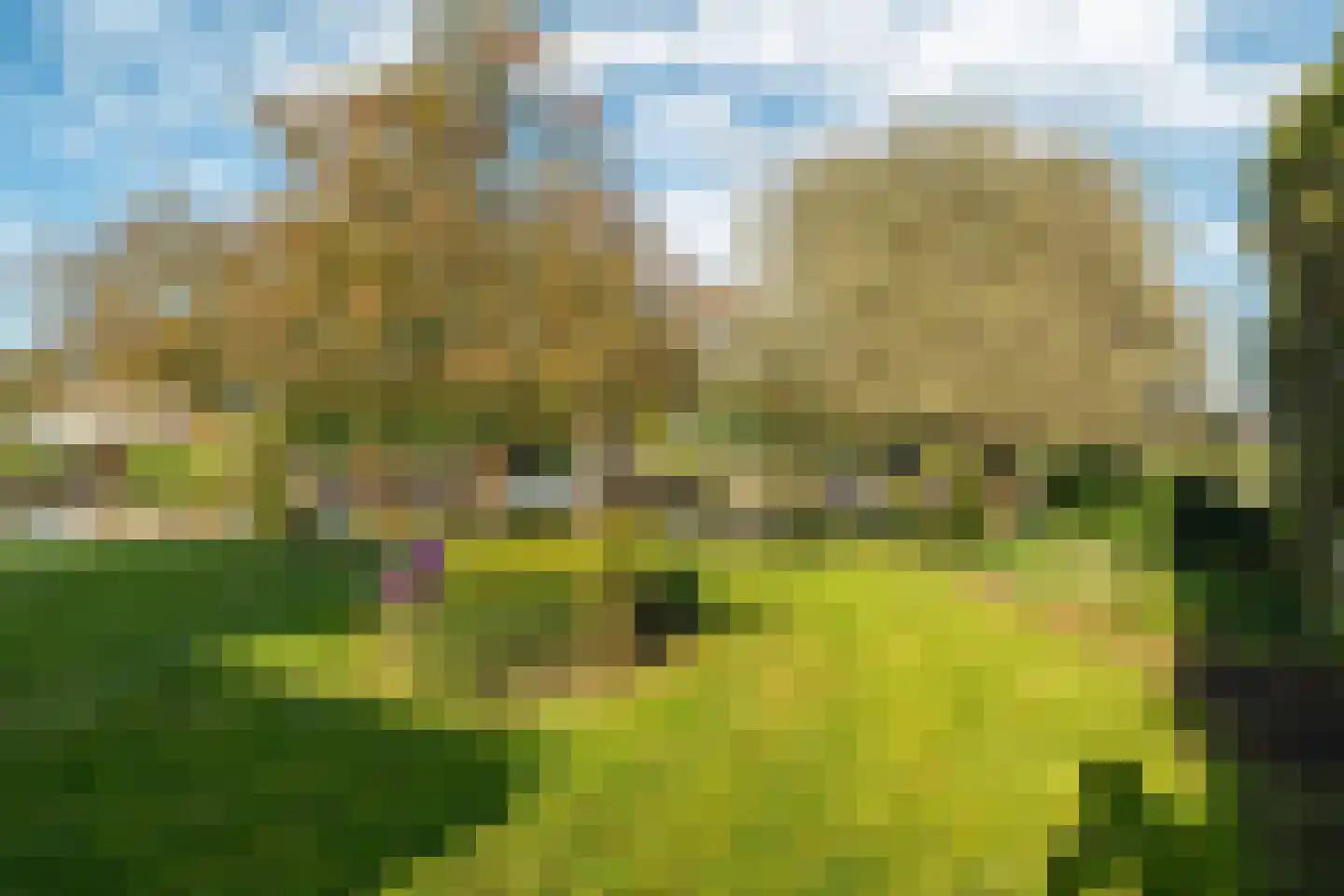 Vechtlaan 12 Kropswolde thumbnail 90