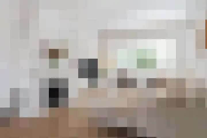Vechtlaan 2 Heemstede thumbnail 12