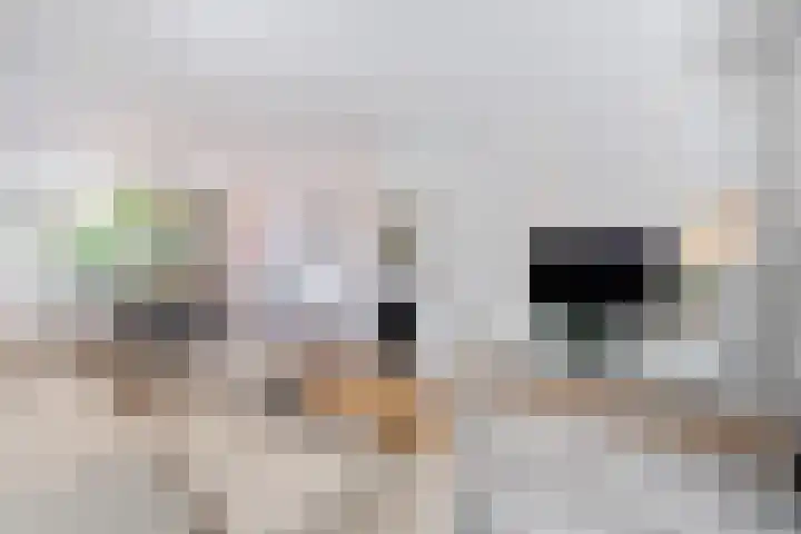 Vechtlaan 2 Heemstede thumbnail 14
