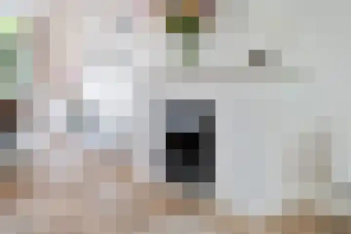 Vechtlaan 2 Heemstede thumbnail 16