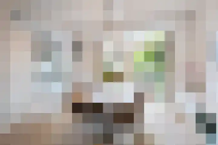 Vechtlaan 2 Heemstede thumbnail 17