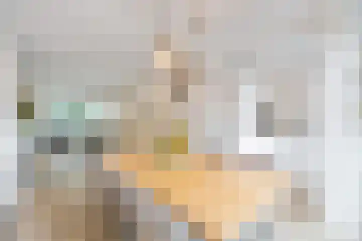 Vechtlaan 2 Heemstede thumbnail 19