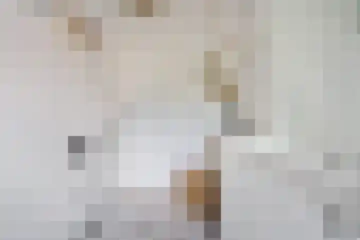 Vechtlaan 2 Heemstede thumbnail 26