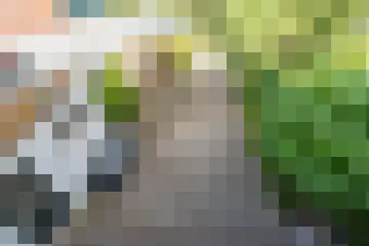 Vechtlaan 2 Heemstede thumbnail 31