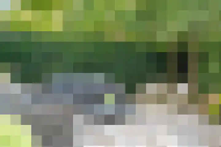 Vechtlaan 2 Heemstede thumbnail 4