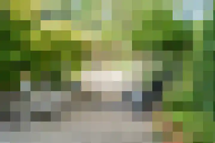 Vechtlaan 2 Heemstede thumbnail 45