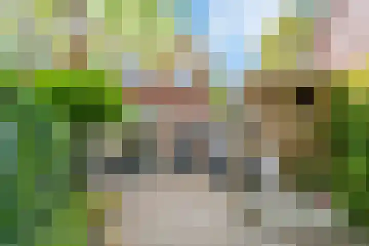 Vechtlaan 2 Heemstede thumbnail 46
