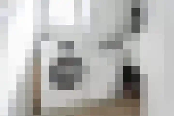 Vechtlaan 2 Heemstede thumbnail 47