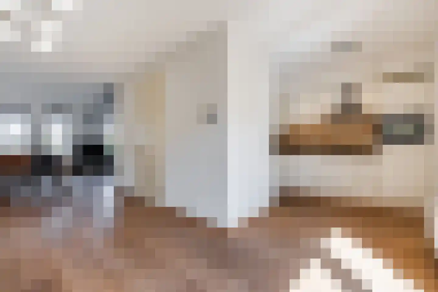 Vechtland 58 Nieuwleusen thumbnail 11