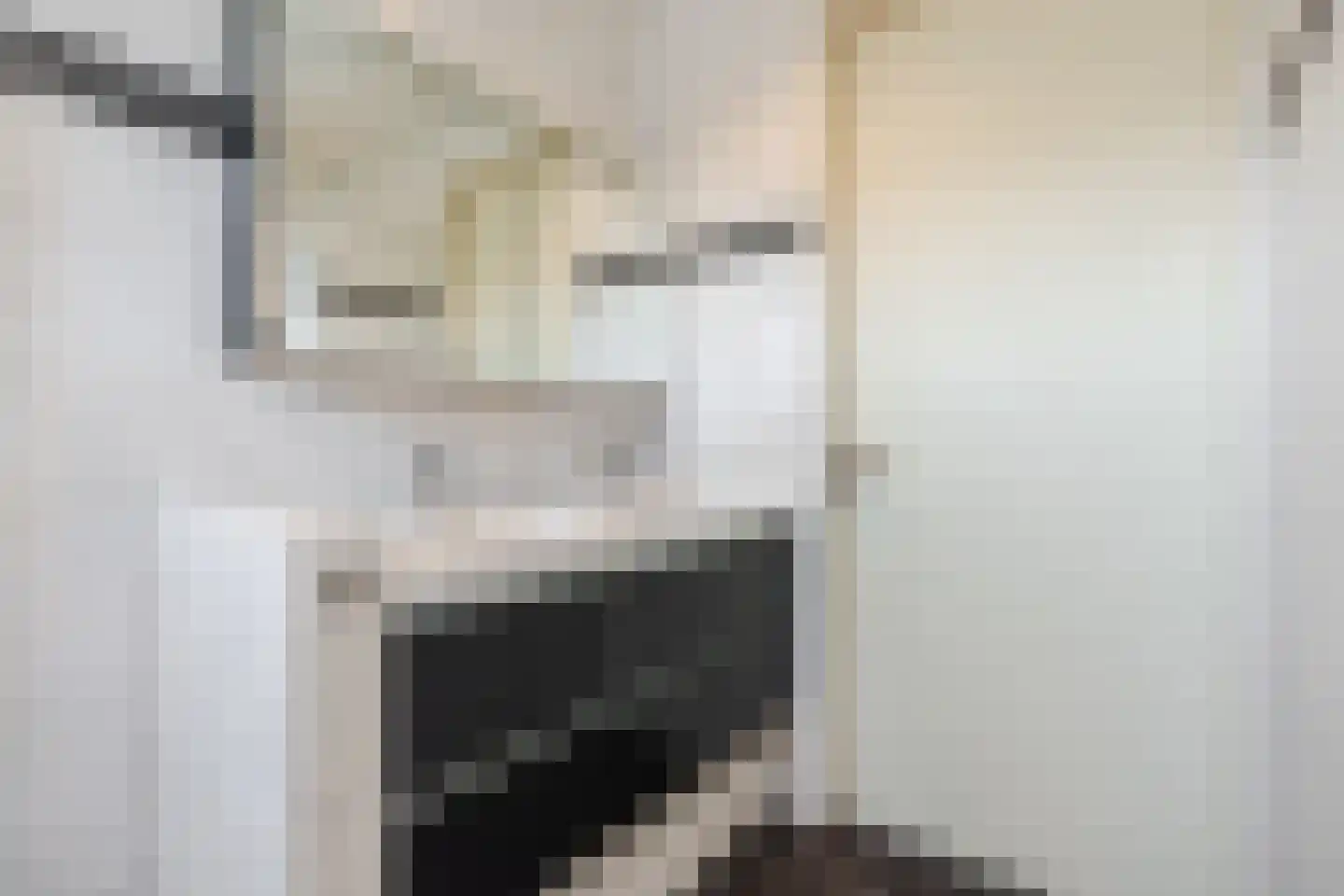 Vechtland 58 Nieuwleusen thumbnail 25