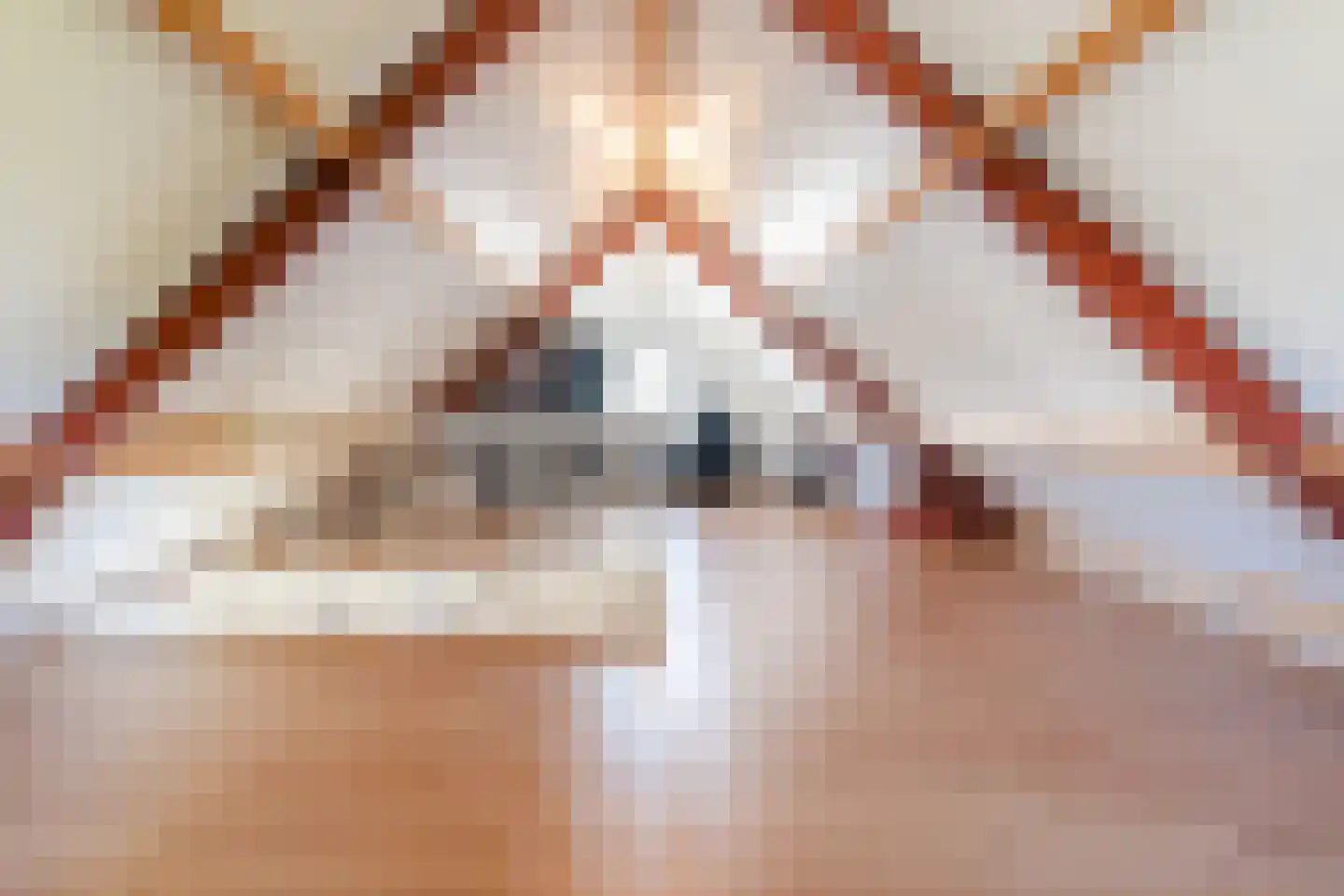 Vechtland 58 Nieuwleusen thumbnail 31