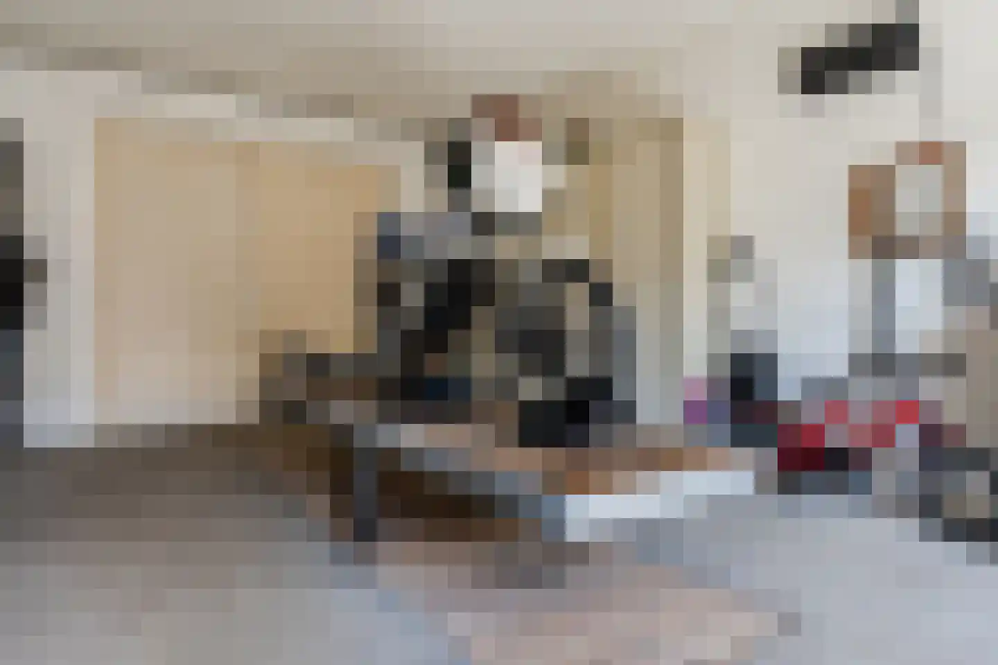 Vechtland 58 Nieuwleusen thumbnail 37
