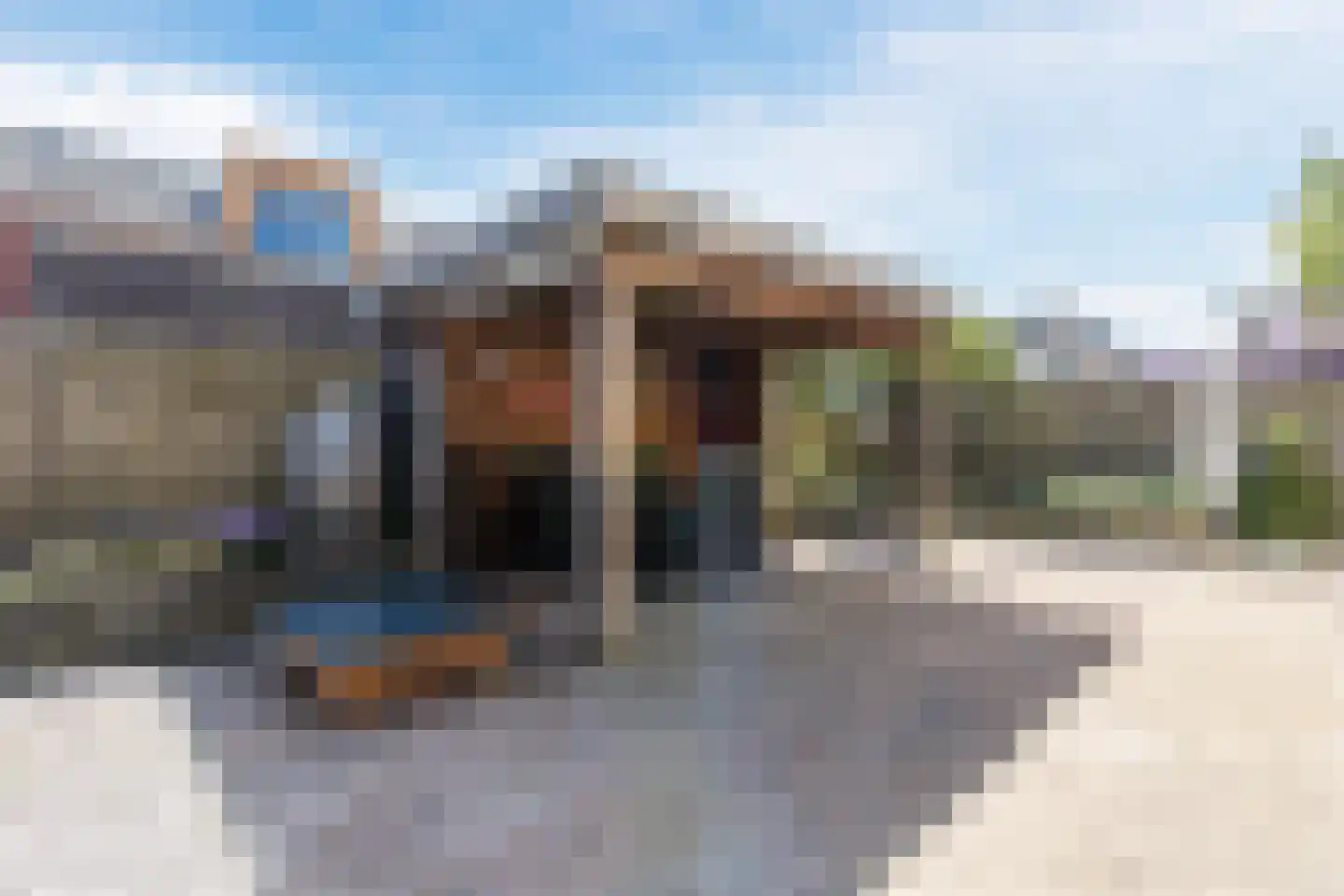 Vechtland 58 Nieuwleusen thumbnail 40