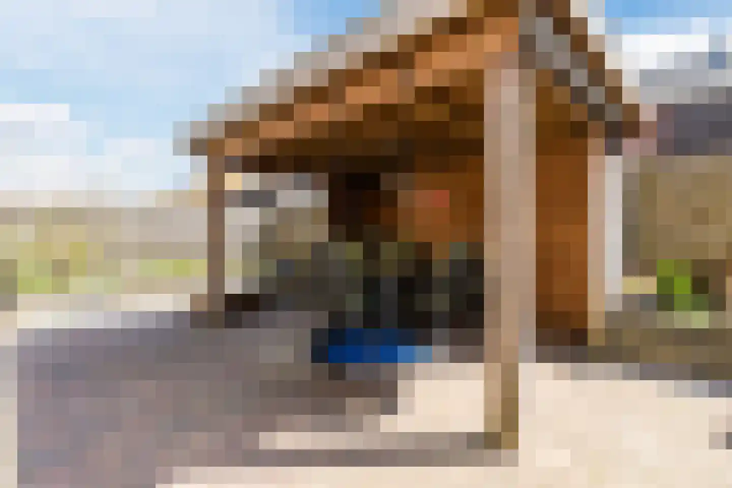 Vechtland 58 Nieuwleusen thumbnail 41