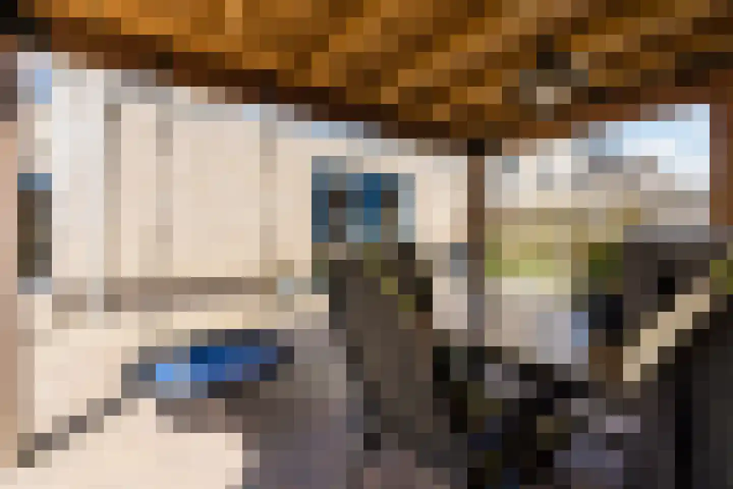 Vechtland 58 Nieuwleusen thumbnail 42