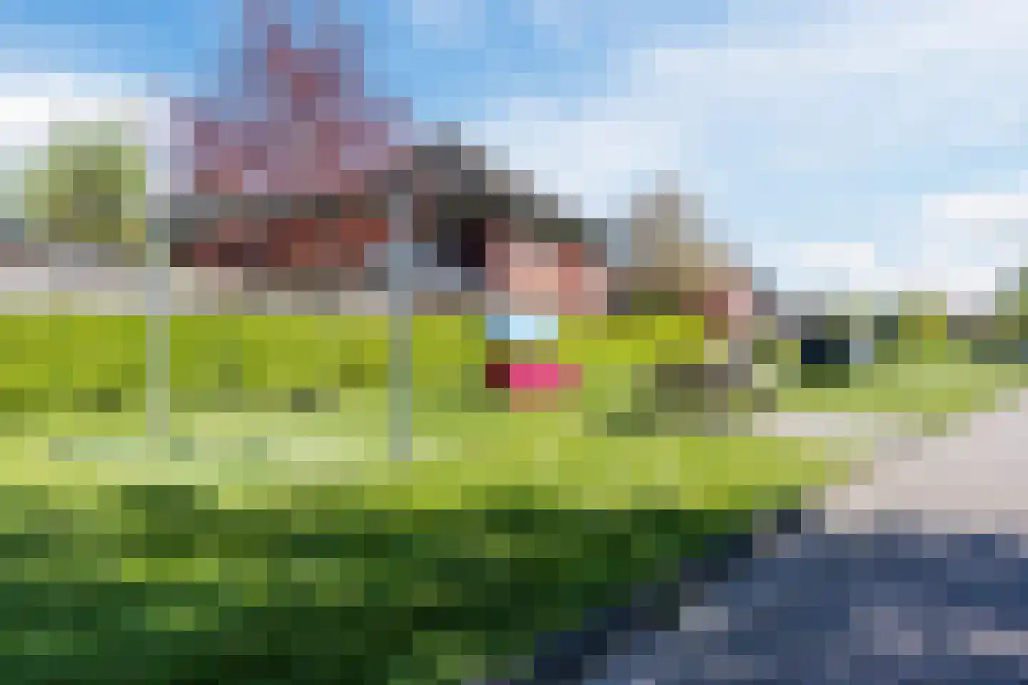Vechtland 58 Nieuwleusen thumbnail 45
