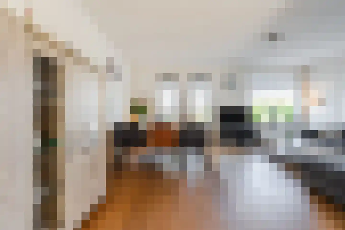 Vechtland 58 Nieuwleusen thumbnail 6