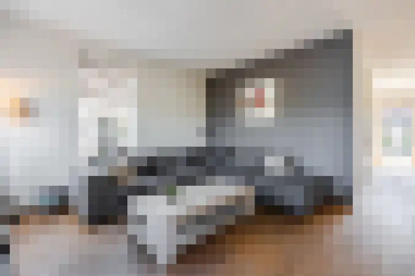 Vechtland 58 Nieuwleusen thumbnail 8