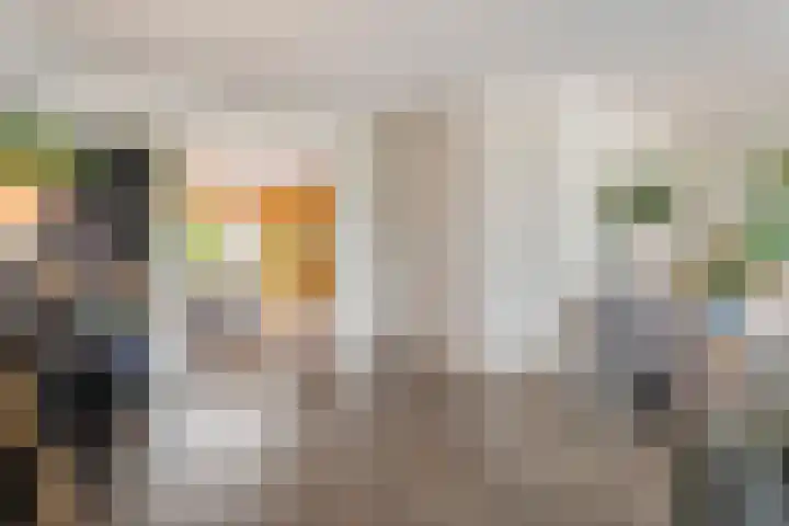 Vechtland 64 Nieuwleusen thumbnail 10