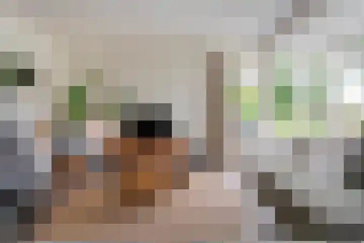 Vechtland 64 Nieuwleusen thumbnail 11