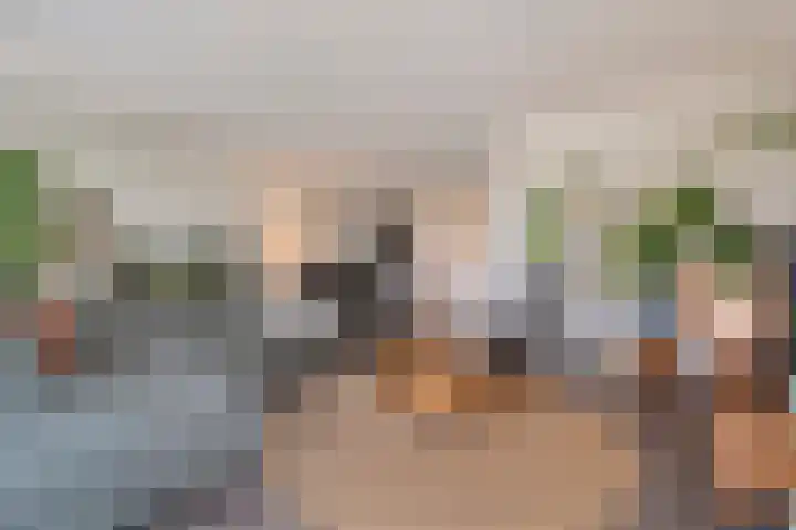 Vechtland 64 Nieuwleusen thumbnail 12