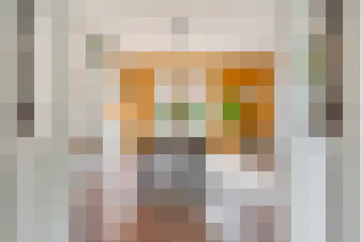 Vechtland 64 Nieuwleusen thumbnail 13