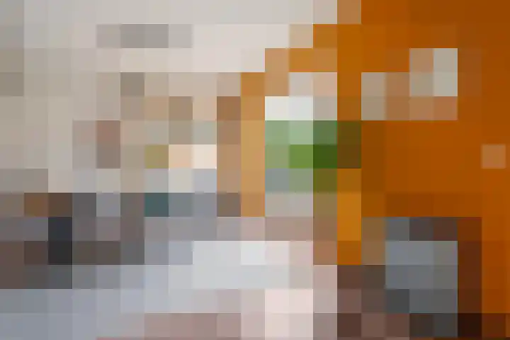 Vechtland 64 Nieuwleusen thumbnail 14