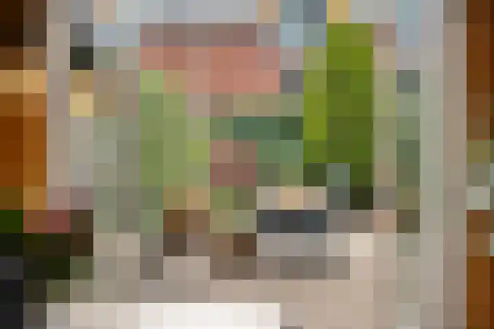 Vechtland 64 Nieuwleusen thumbnail 15