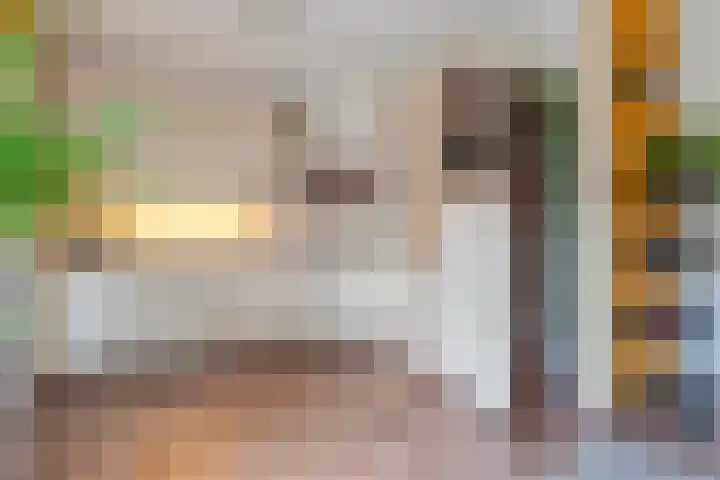 Vechtland 64 Nieuwleusen thumbnail 16