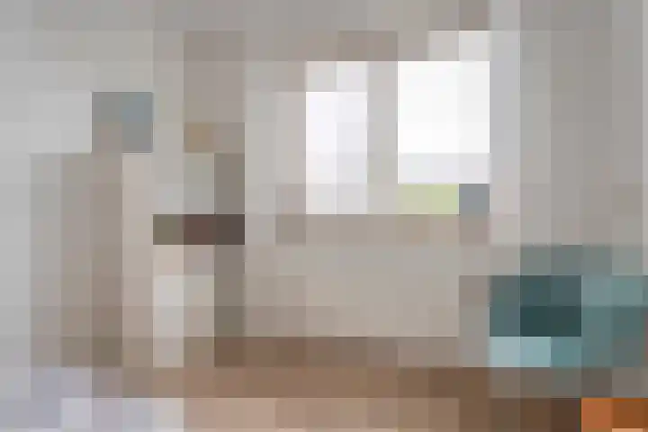 Vechtland 64 Nieuwleusen thumbnail 24
