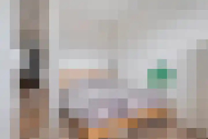 Vechtland 64 Nieuwleusen thumbnail 25