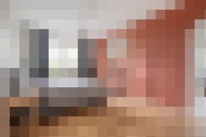 Vechtland 64 Nieuwleusen thumbnail 26