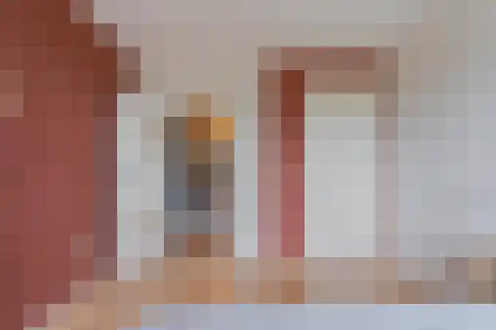 Vechtland 64 Nieuwleusen thumbnail 27