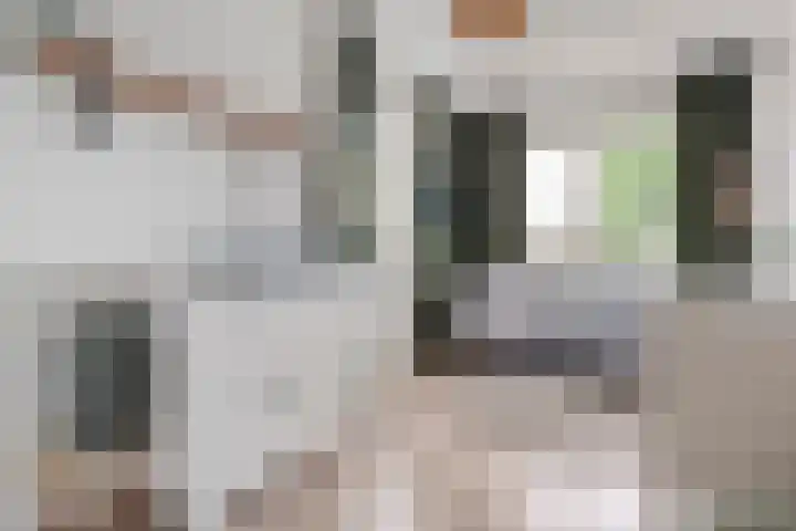 Vechtland 64 Nieuwleusen thumbnail 28
