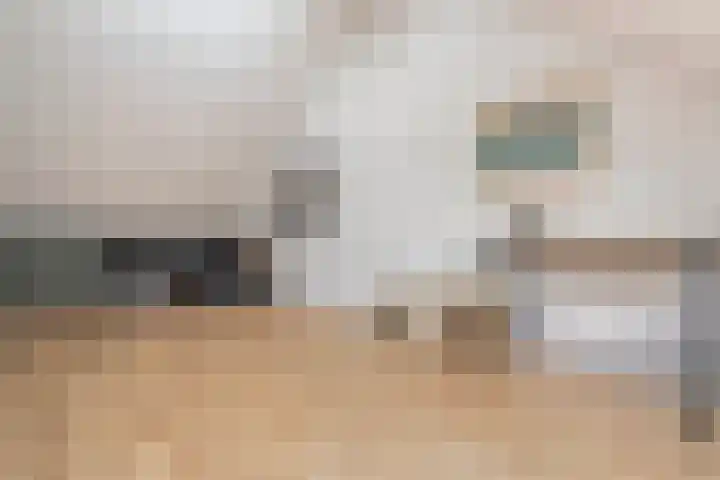Vechtland 64 Nieuwleusen thumbnail 33