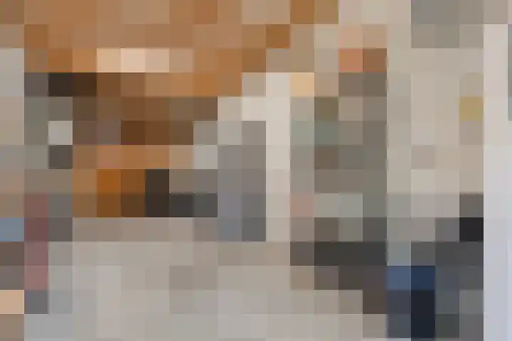 Vechtland 64 Nieuwleusen thumbnail 36