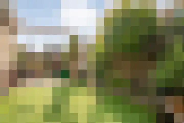 Vechtland 64 Nieuwleusen thumbnail 38