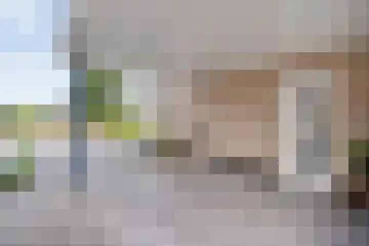 Vechtland 64 Nieuwleusen thumbnail 4