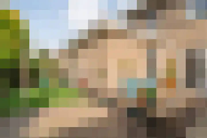 Vechtland 64 Nieuwleusen thumbnail 40