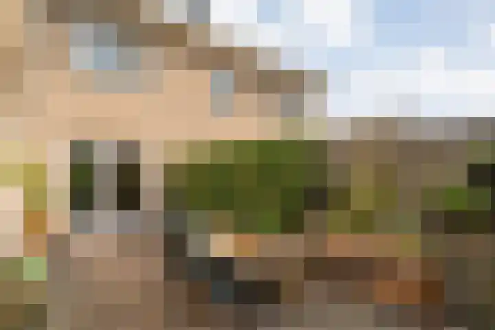 Vechtland 64 Nieuwleusen thumbnail 41